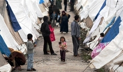 Апостольська Столиця допоможе знайти роботу біженцям