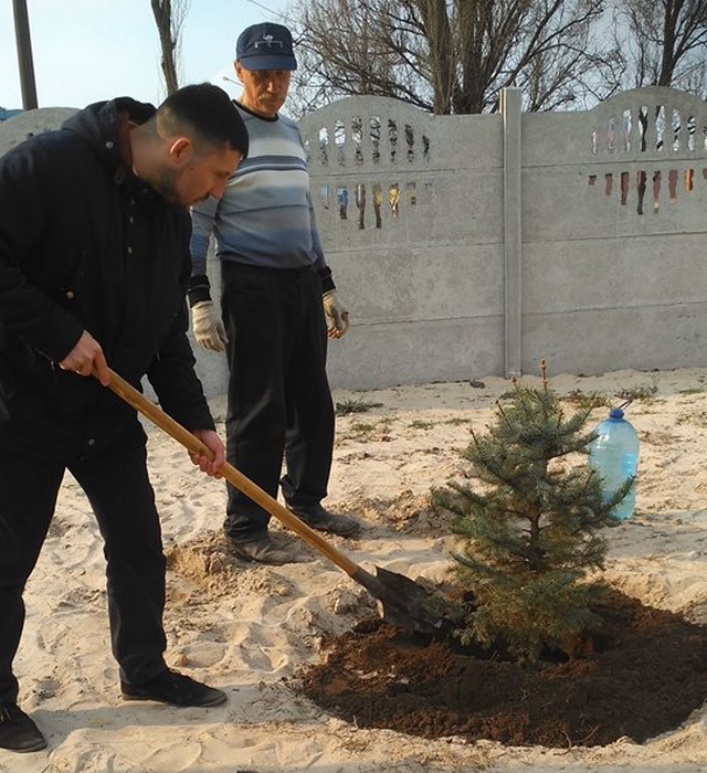 На Січеславщині посадили дерево миру