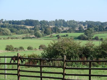 Притча про багатство