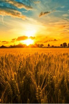 Притча про записничок