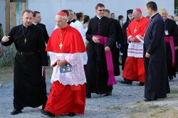 Представники УГКЦ  у Ватикані говоритимуть про можливість візиту до України Папи Римського Франциска