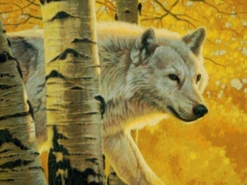 Ворожа милість