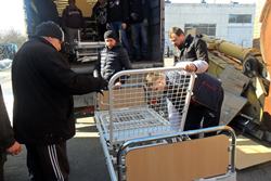 Греко-католики з Німеччини передали допомогу для Полтавського військового шпиталю
