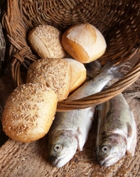 «Голодного нагодувати» і «грішника навернути» (Духовно-екологічні роздуми)