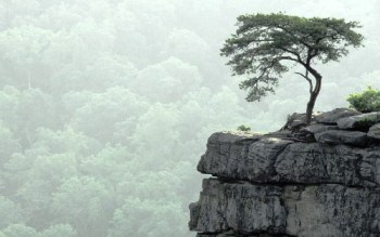 Небезпечне місце