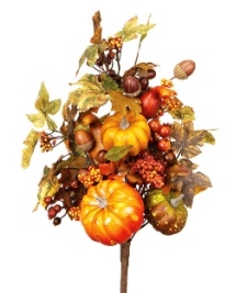 Жолуді і гарбузи