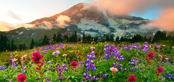 Притча про те як жити не сперечаючись