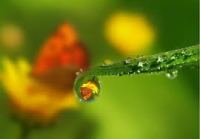 крапля води