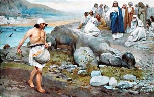 Роздуми над притчою про сіяча у 21 Неділю від Зіслання Святого духа