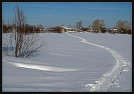 втоптана доріжка