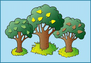 Історія про три дерева