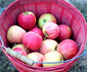 Притча про внутрішнє багатство