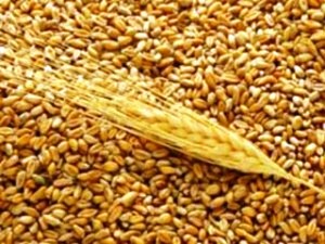 Як одержати нагороду 