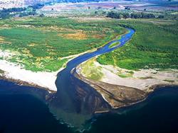 Йордан Йордан